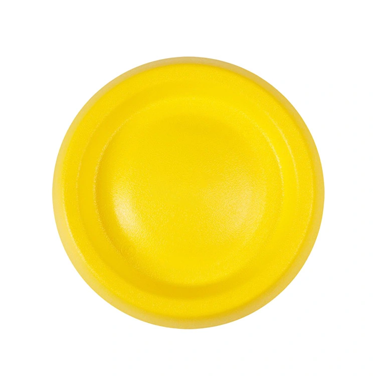 Ano ang Nagiging Pinakamahusay na Pagpipilian sa EVA Pet Frisbee para sa Ligtas, Matibay, at Masayang Paglalaro ng Aso